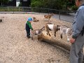 zoologisk have med Kasper maj 08 012